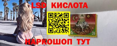 spice Гай